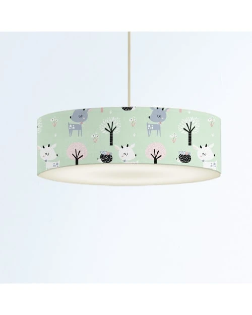 Abat-jours Suspensions Enfant Suspension Enfant Rennes Vert Pastel T 50 X H 25 4 Abat-jours Suspensions Enfant Suspension Enfant Rennes Vert Pastel T 50 X H 25 – Image 4