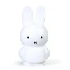 Atelier Pierre Objets Déco Enfant Tirelire Miffy Pvc Blanc